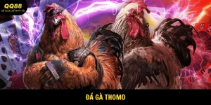 da-ga-thomo-anh-dai-dien